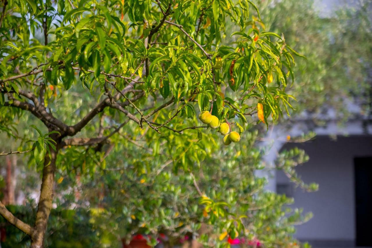 Garden Paradise App Sveti Vid-Miholjice Dış mekan fotoğraf